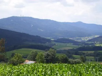 Geraeumiges Mit Garten In Rittsteig بيت للعطل *